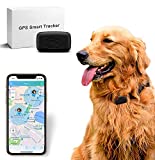LMHOME GPS Pet Tracker, Real Time Dogs Cats Locator Finder - Waterproof|Alarm|, Security Fence|Remote Monitoring - Fits for All Android iOS Devices